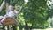 A little girl quickly and high rides a swing in the park