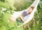 A little girl rests in a hammock in the summer