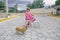 Little girl riding a bicycle and a chihuahua dog on the street under the open sky.