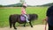 Little girl riding a pony in countryside