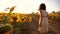 Little girl running across the field with sunflowers at sunset. slow motion video. girl runner in the field at sunset