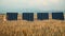 little girl running on a golden field and passing by solar panels