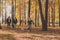 Little girl running with her dog jack russell terrier among autumn leaves. Mother and grandmother walks behind