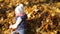 A little girl runs and falls into a pile of yellow leaves, joy, happiness, a warm autumn day.