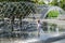 Little girl runs under jets of water. Jets in sparkling arc fall on stones. Beautiful Crater Fountain surrounds fish pond