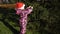 A little girl in a Santa Claus hat decorates with balls a tree in the street.