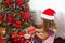 Little girl in Santa hat opens a red box with a gift and a Golden magic light near the Christmas tree. Holiday decor, poinsettias