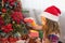 Little girl in Santa hat opens a red box with a gift and a Golden magic light near the Christmas tree. Holiday decor, poinsettias