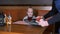 Little girl is served dessert with fresh strawberries and tea on a tray. Waiter's job.