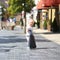 Little girl in shopping outlet village