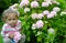 The little girl sits under a bush of the blossoming hydrangea