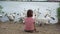Little girl sitting on the beach with swans
