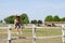 Little girl sitting on corral