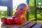 The little girl is sitting at a table on a verandah and eatting fresh apples. Apples on table. Dreamy and romantic image