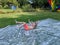 A little girl sliding down a slip and slide on her back