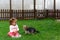 Little girl and small dog look at each other lovingly on the grass