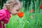 Little girl sniffing red poppies