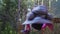 Little girl spinning on a swing in the spring forest