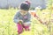 Little girl in spring flower field with her four wheels bicycle at background