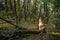 Little girl standing in the forest with ferns