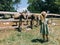 Little girl stands near a wooden fence with brown donkeys in the park
