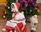 The little girl in a suit of the Little Red Riding Hood and a figurine Santa Claus about a New Year tree
