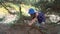 Little girl in a summer dress climbs a tree in the forest