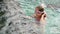 Little girl swim underwater in swimming pool. Slow Motion