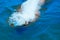 little girl swims in summer under water in the ocean, view from above