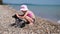 Little Girl in Swimsuit Petting the Dog on Beach