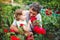 Little girl touching flower with grandfather in garden of roses