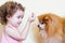 Little girl trains a pomeranian spitz. baby gives dog food.