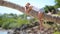 Little girl at tropical beach sitting on palm tree during summer vacation