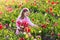 Little girl in tulip flower garden