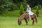 Little girl in Ukrainian national costume rides a pony