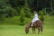 Little girl in Ukrainian national costume rides a pony