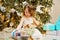 little girl unpacks a box of gift by Christmas tree. tradition giving gifts