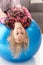 Little girl upside down on fit ball laughing