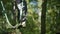 A little girl walking on a rope between the trees with protective system