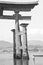 Little girl walking towards the great O-torii of the Itsukushima shrine in Hiroshima during low tide