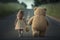 A little girl walks down the road with a teddy bear