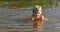 Little girl in water on sunny day