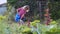 Little girl is watering cabbage from watering can in the kitchen garden.