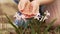 a little girl watering flowers from the palms of her hands.