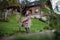 Little girl watering tree in garden, using collected rainwater. Concept of water conservation in garden and family