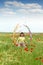 Little girl waving with colorful ribbons on meadow