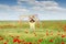 Little girl waving with colorful ribbons on meadow in spring