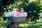 Little girl in wheelbarrow