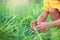 A little girl in a yellow dress sits in the grass and plays with a little chicken. Children and animals. Hands close up