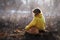 Little girl in yellow pullover and gray hat with red persian cat in the forest. Soft natural light. Cat and girl are looking away